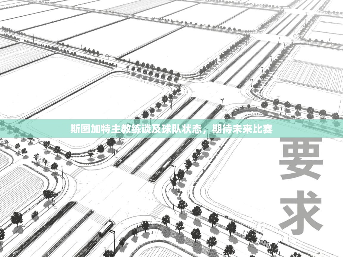 斯图加特主教练谈及球队状态，期待未来比赛