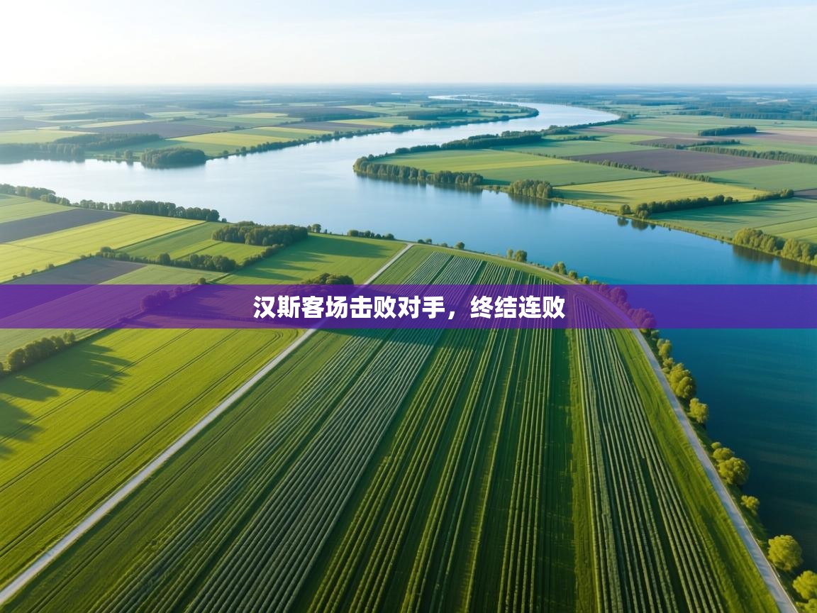 汉斯客场击败对手，终结连败