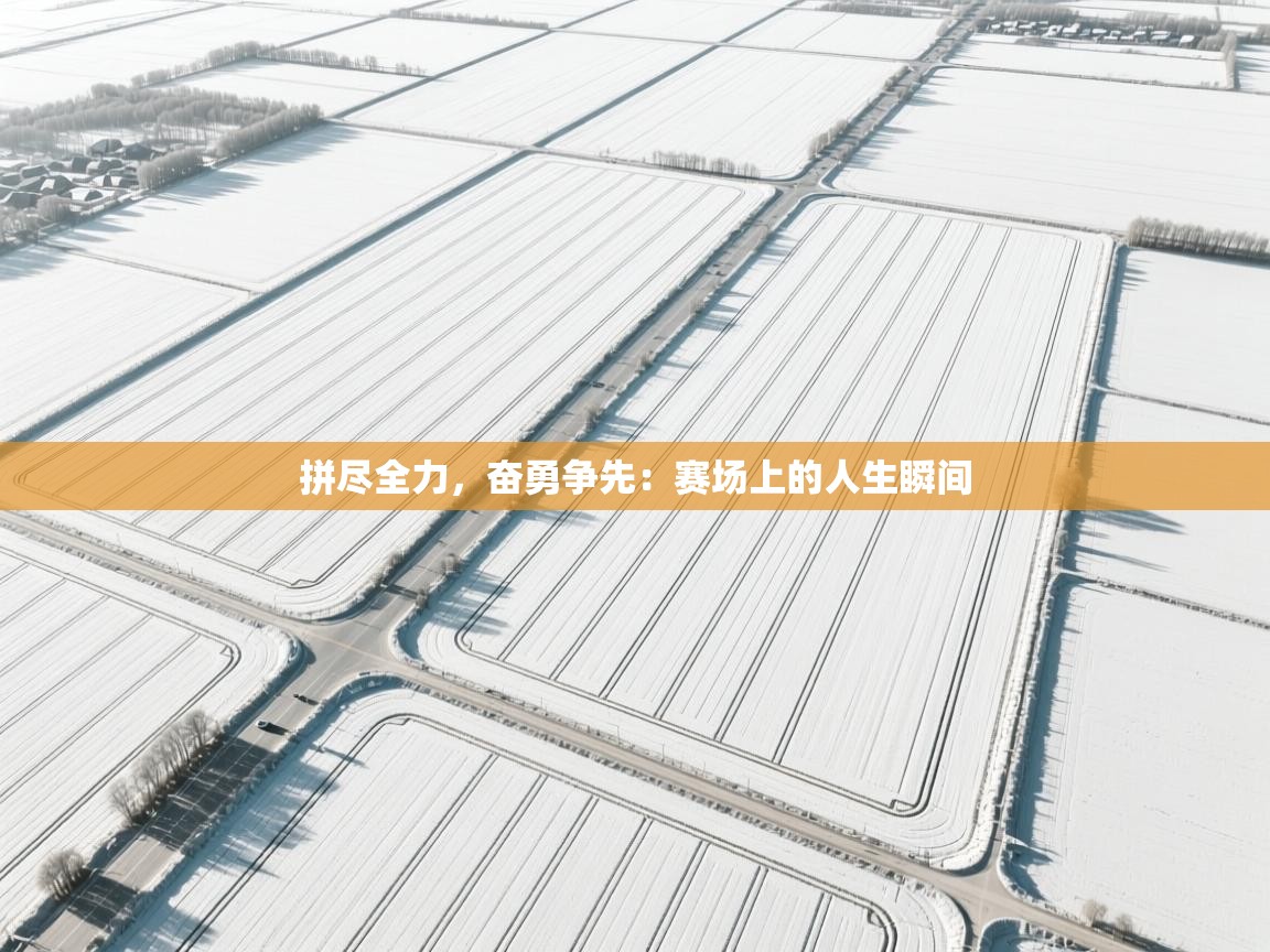 拼尽全力,奋勇争先:赛场上的人生瞬间 第1张