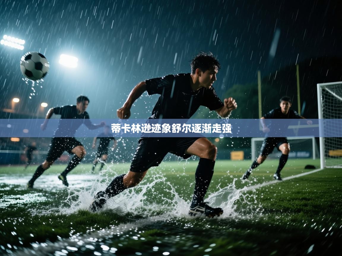 蒂卡林逊迹象舒尔逐渐走强