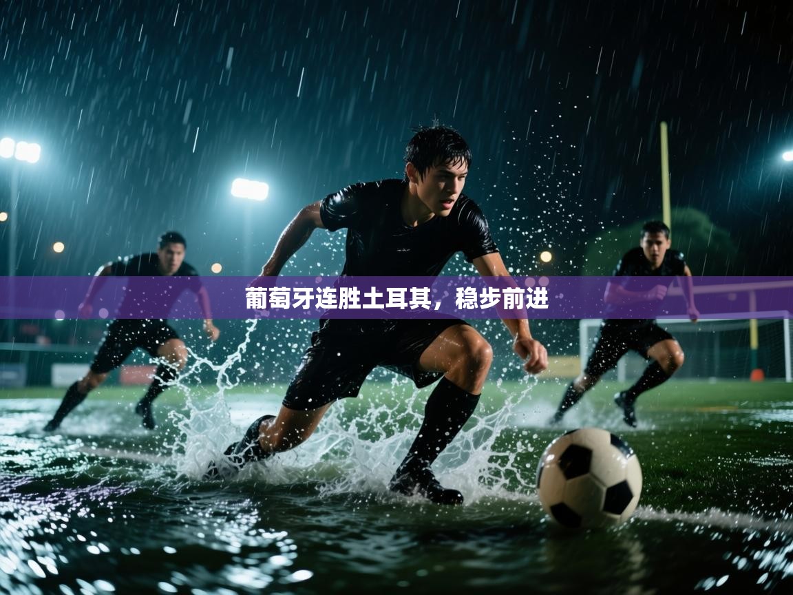 葡萄牙连胜土耳其，稳步前进